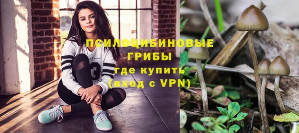 гашиш Богородицк